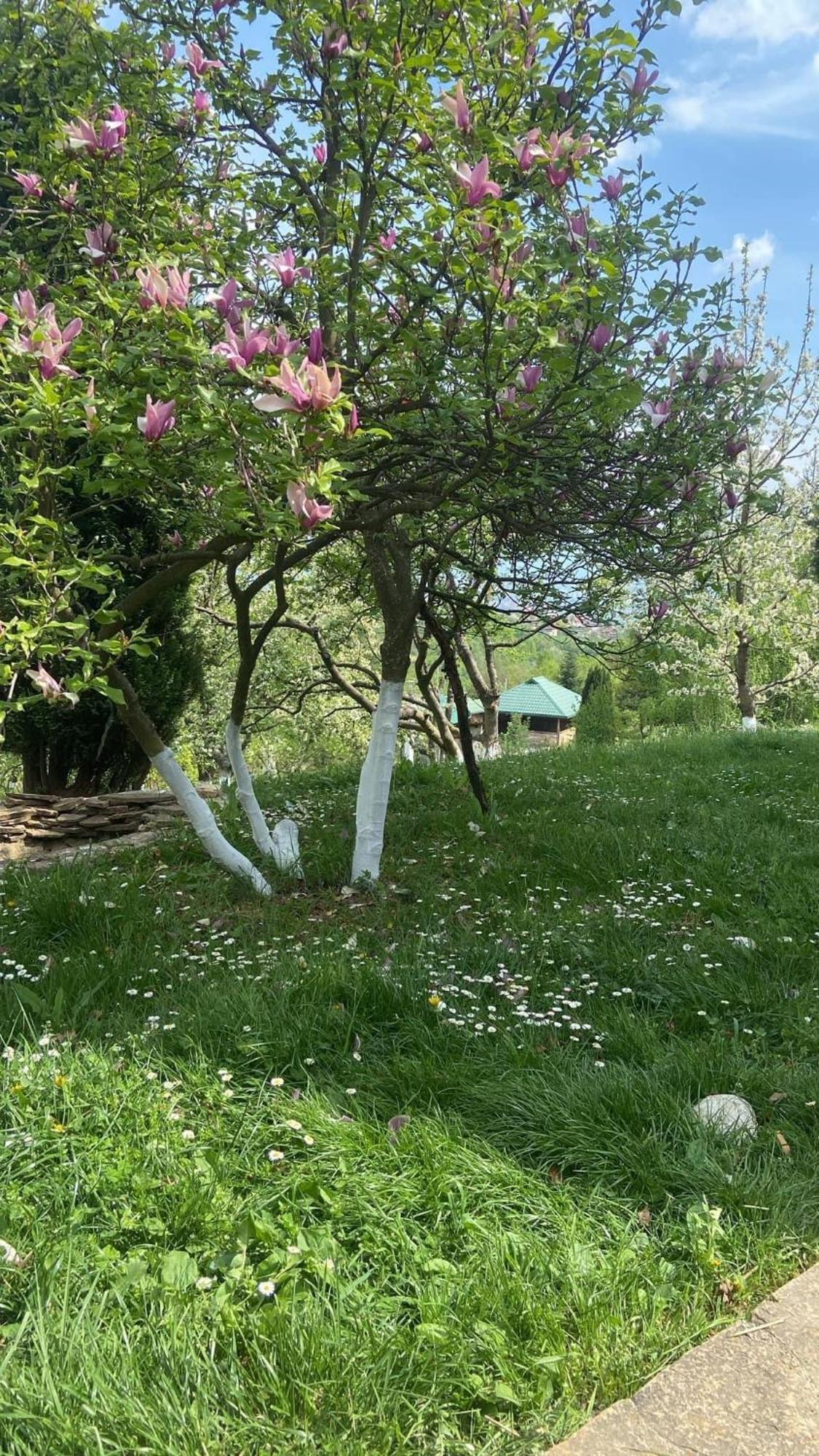 Holiday home Zeleni Kutak